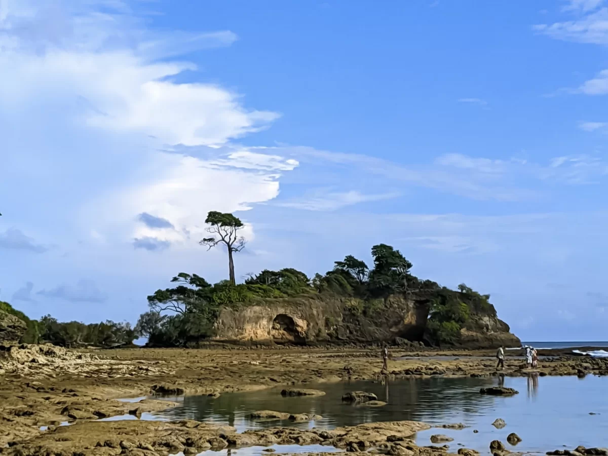 Rocky islet with caves and pine tree at Bharatpur Beach Port Blair under blue partly cloudy skies, featuring low tide pools and distant figures, perfect adventure Andaman tour package. ​