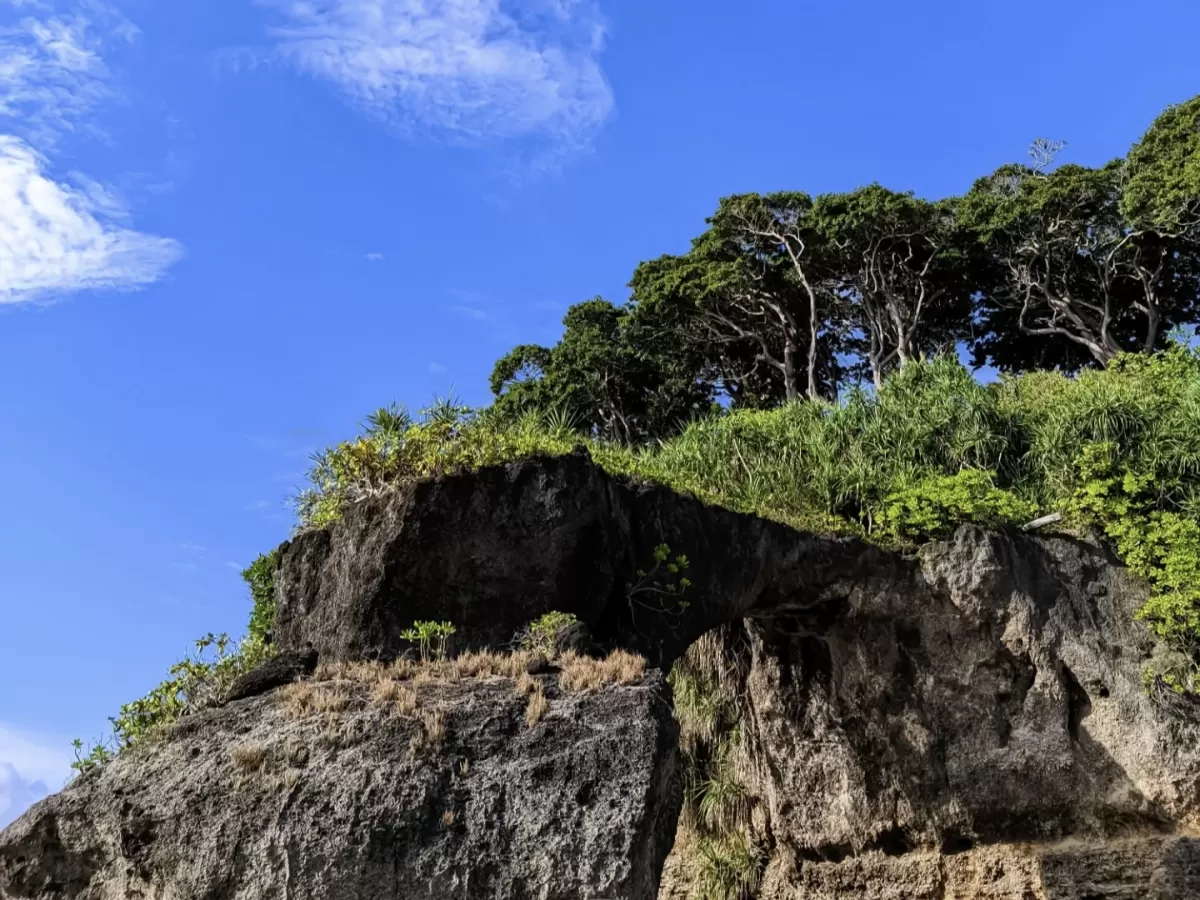Lush green cliff with caves overlooking Bharatpur Beach Port Blair Andaman under blue skies with clouds, featuring rocky base and vegetation, perfect adventure Andaman tour package.