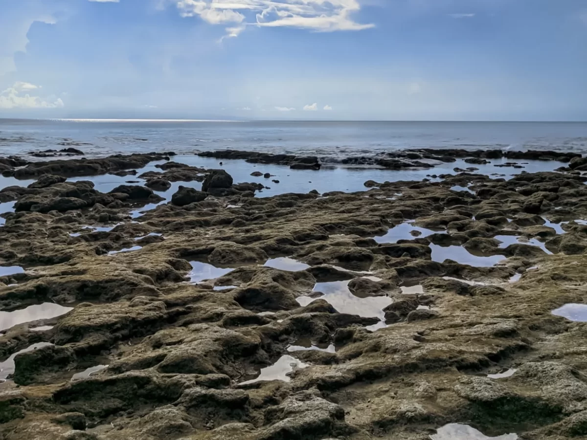 Low tide rocky shore at Bharatpur Beach Port Blair Andaman under blue skies with scattered clouds, featuring tide pools and calm sea, perfect snorkeling Andaman tour package.