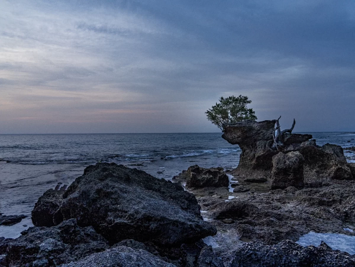 Dramatic elephant-shaped rock formation with lone tree at Laxmanpur Beach Neil Island Andaman during twilight low tide rocky shore calm sea and cloudy skies, iconic sunset adventure Andaman tour package highlight.