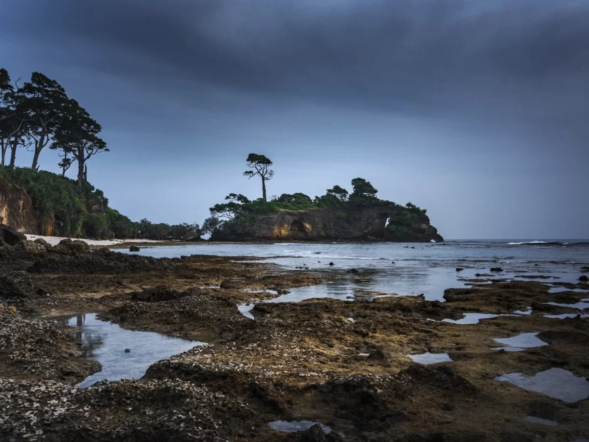 Overcast low tide scene at Laxmanpur Beach Neil Island Andaman featuring forested rocky islet cliffs pine trees tide pools and misty ocean horizon, atmospheric adventure Andaman tour package vista.