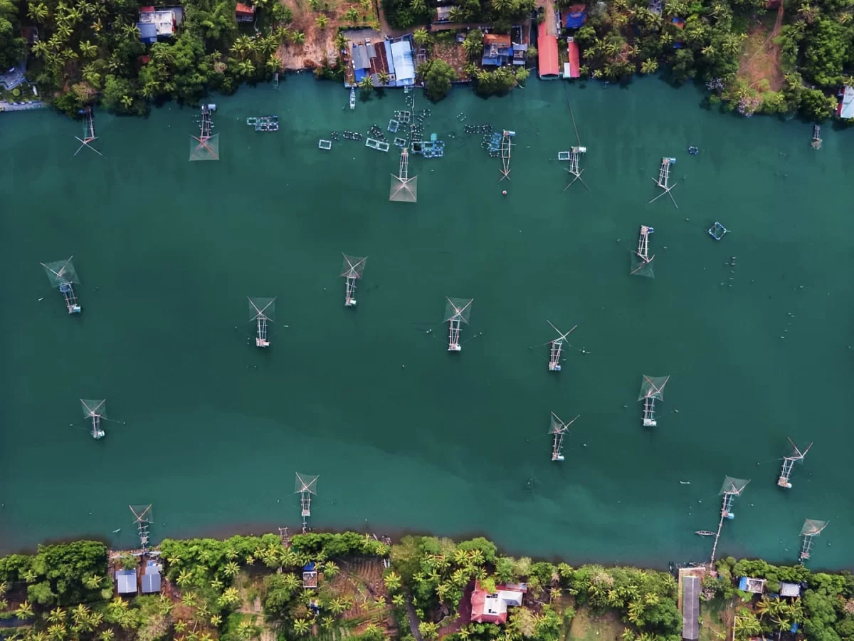 Aerial view of Chinese fishing nets over Vembanad Lake at Fort Kochi Kerala during daylight, featuring multiple cheena vala, houseboats, coconut groves, perfect iconic Kochi tour package.