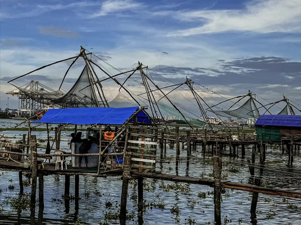 Chinese fishing nets operation at Fort Kochi Kerala during partly cloudy day, featuring multiple cheena vala with nets lowered, blue tents, distant port, Vembanad Lake, perfect Kochi tour package. 