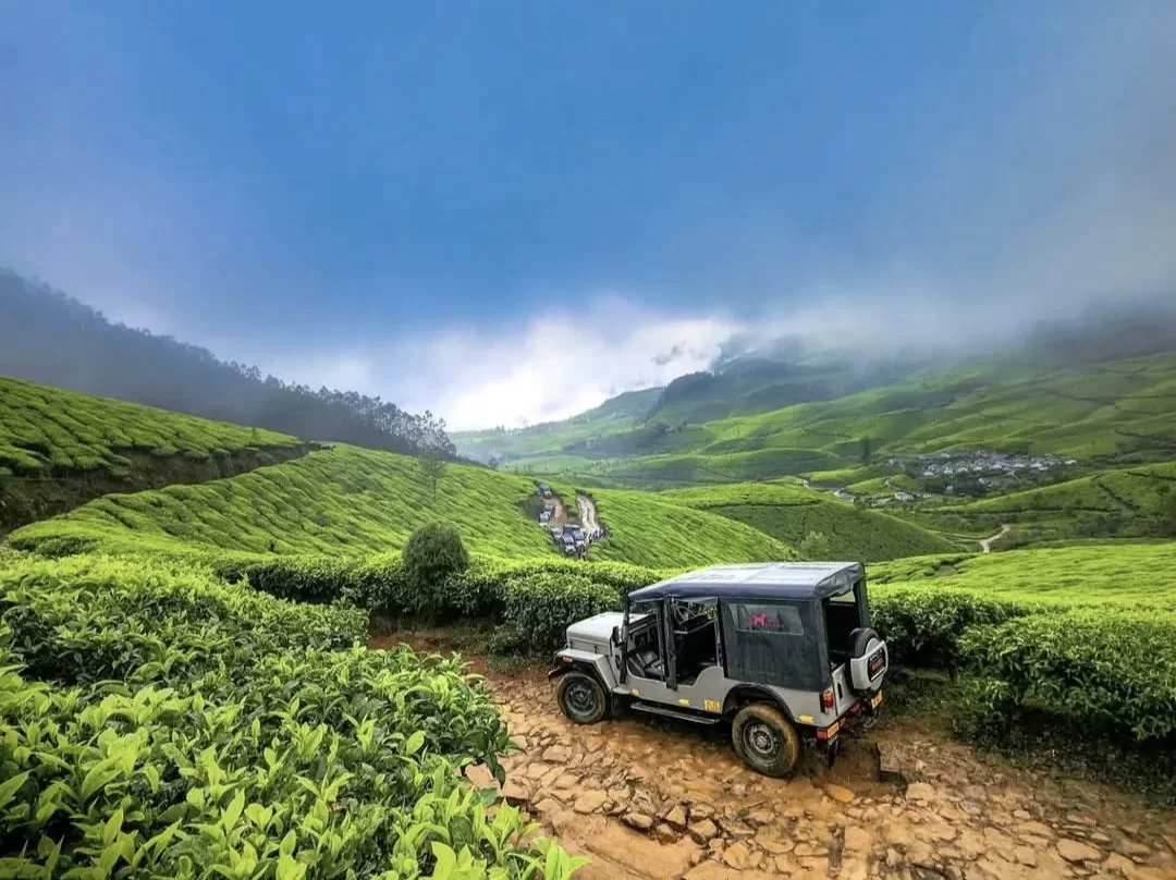 Jeep safari on dirt track through Munnar tea gardens during misty morning, featuring rolling green hills under blue skies, perfect adventure experience with Munnar tour package. 