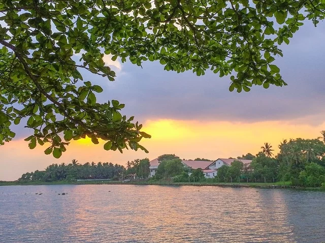Thiruvananthapuram Kerala Veli Tourist Village Lake sunset golden orange purple sky lush green overhanging tree branches white red roof buildings coconut palms serene backwater lake resort tour package.