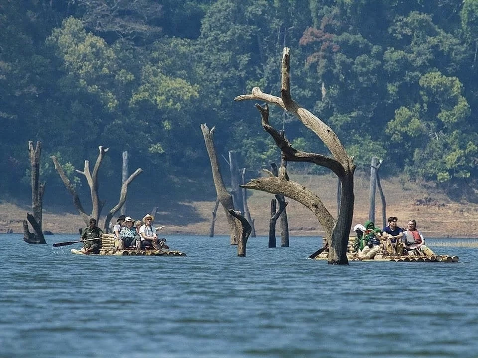 Bamboo raft safari at Periyar Lake Periyar Wildlife Sanctuary Thekkady during sunny day, featuring dead trees forested hills tourists, perfect wildlife Thekkady tour package.