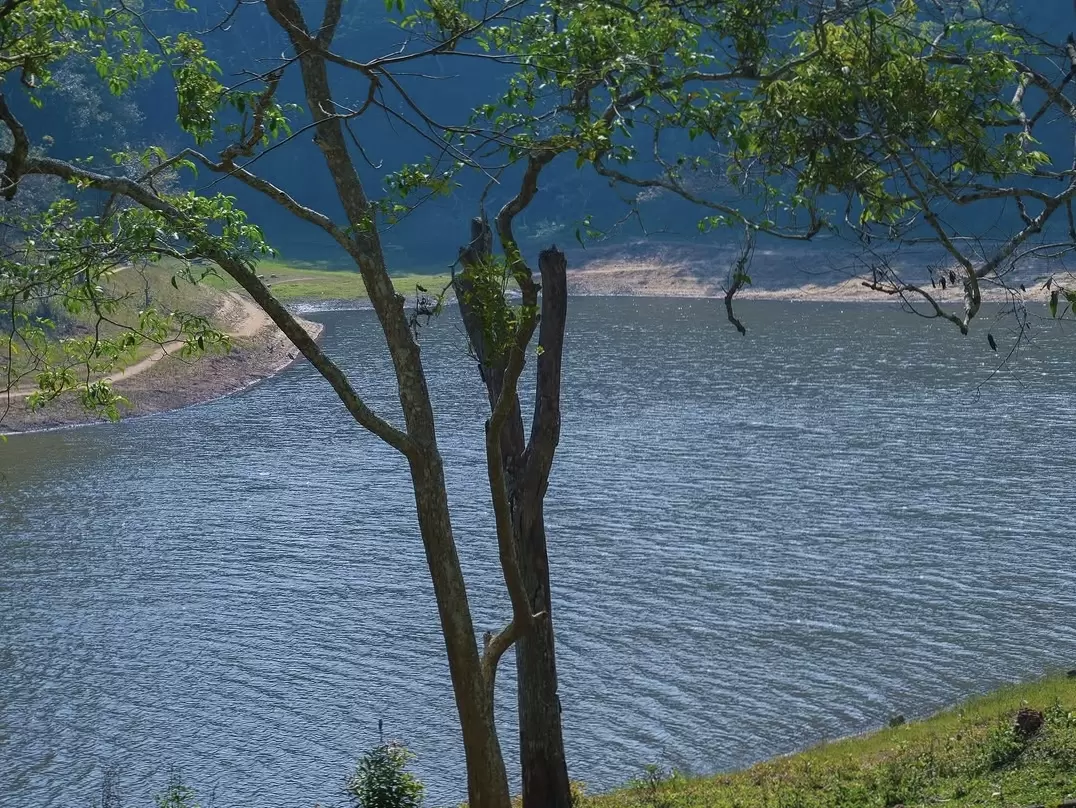 Tree framed lake at Periyar Lake Periyar Wildlife Sanctuary Thekkady during sunny afternoon, featuring dead stumps forested hills calm waters, perfect wildlife Thekkady tour package.