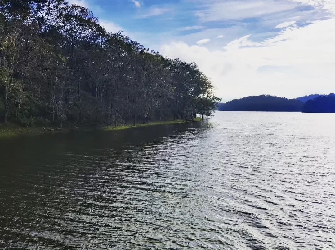 Lush shoreline at Periyar Lake Periyar Wildlife Sanctuary Thekkady during blue skies, featuring barren trees distant hills water expanse, perfect wildlife Thekkady tour package.