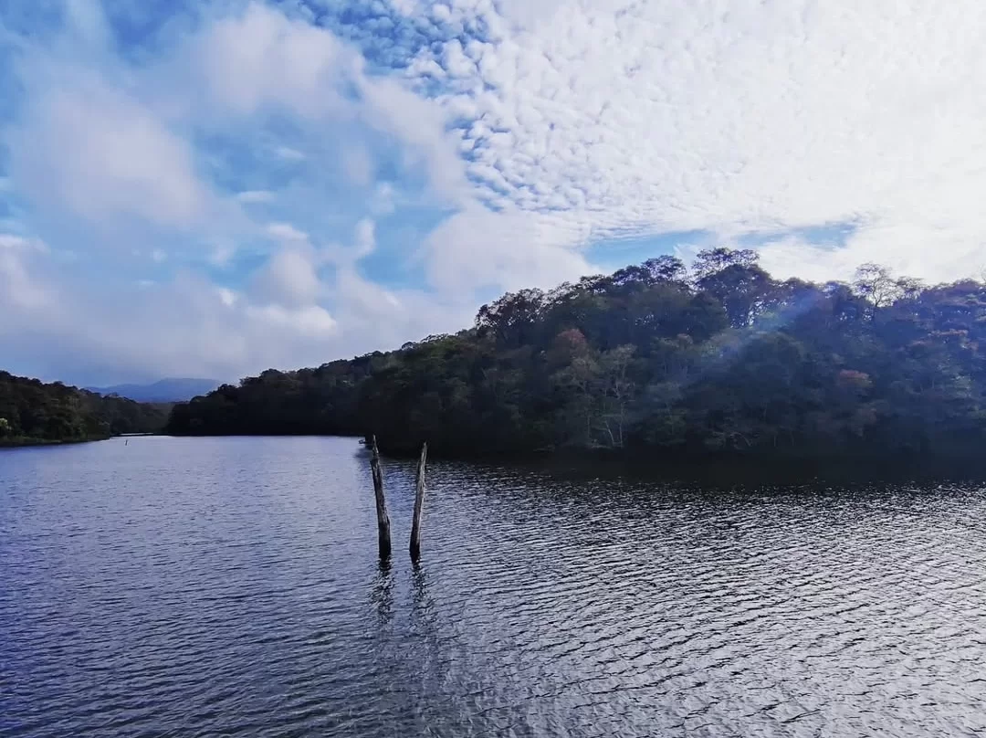 Bamboo raft boating at Periyar Lake Periyar Wildlife Sanctuary Thekkady during partly cloudy skies, featuring dead trees forested hills, perfect wildlife Thekkady tour package.