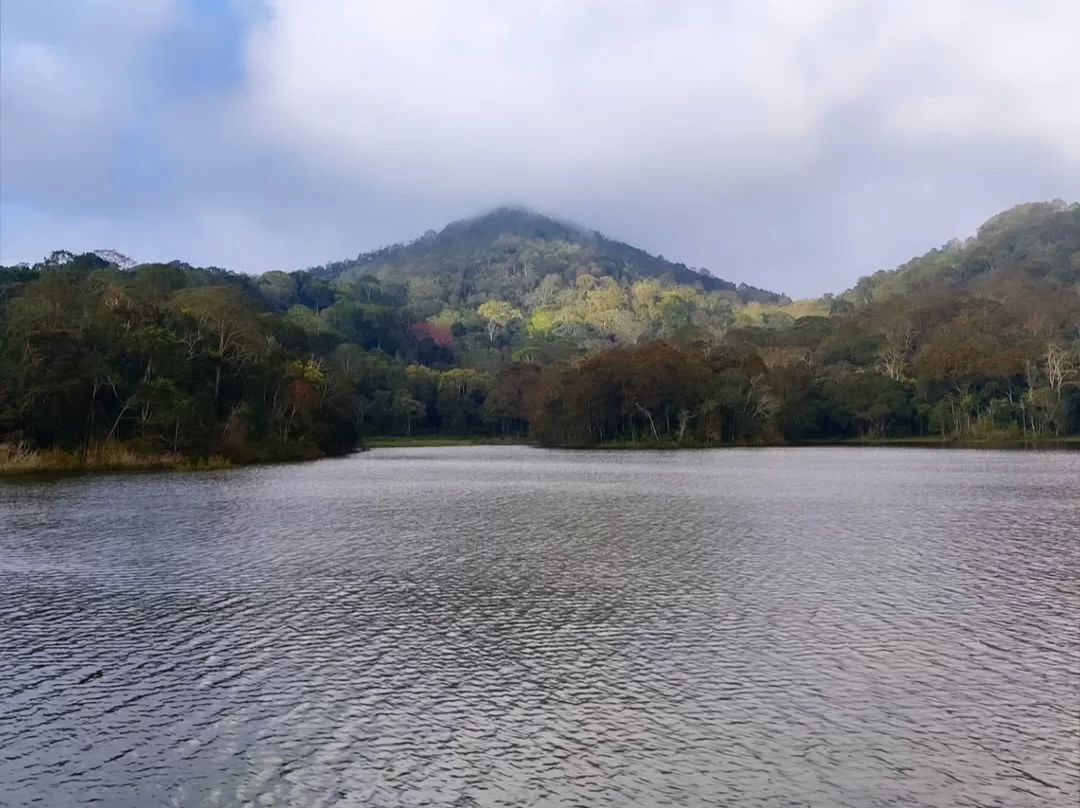 Misty lake panorama at Periyar Lake Periyar Wildlife Sanctuary Thekkady during partly cloudy day, featuring autumn hills bamboo raft spots, perfect wildlife Thekkady tour package.