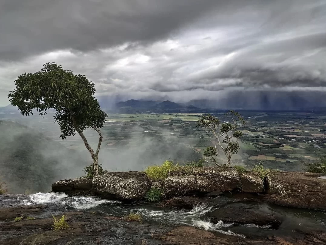 Viewpoint at Chellarkovil Waterfall Thekkady during rainy clouds, featuring lone trees, misty valleys and small cascade, perfect adventure experience Thekkady tour package.