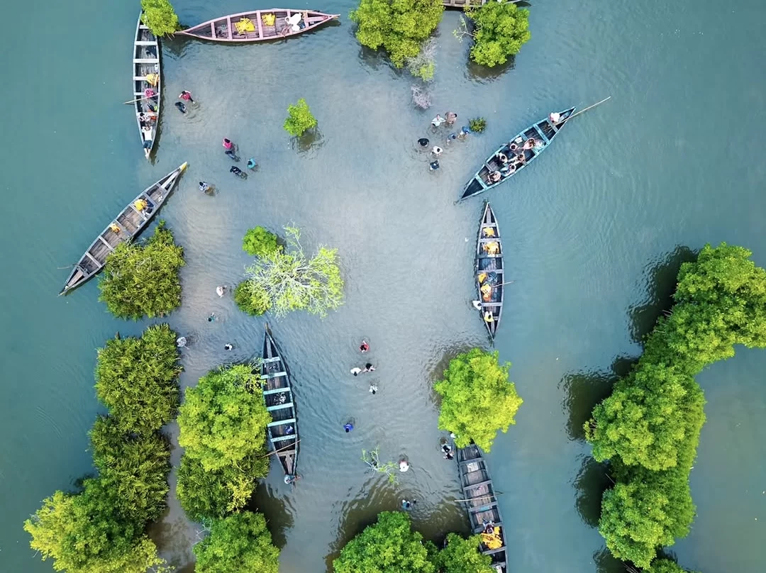 Aerial view of canoes amid mangroves at Munroe Island during sunny day, featuring boats people backwaters greenery, perfect romantic Kerala tour package. 