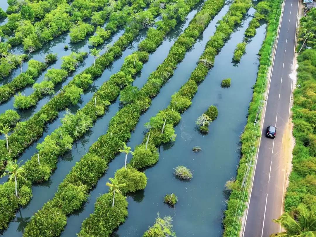 Munroe Island aerial view Kerala backwaters with rows mangroves canals roadside car palm trees, perfect houseboat eco tourism package. 