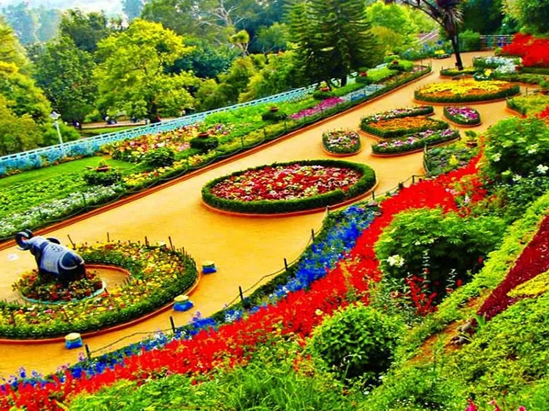 Aerial view of terraced flower gardens Government Botanical Garden Ooty Udhagamandalam Nilgiris Tamil Nadu India showcasing vibrant circular beds red blue pink flowers terracotta paths white elephant sculpture lush green hills backdrop, perfect Nilgiri hi