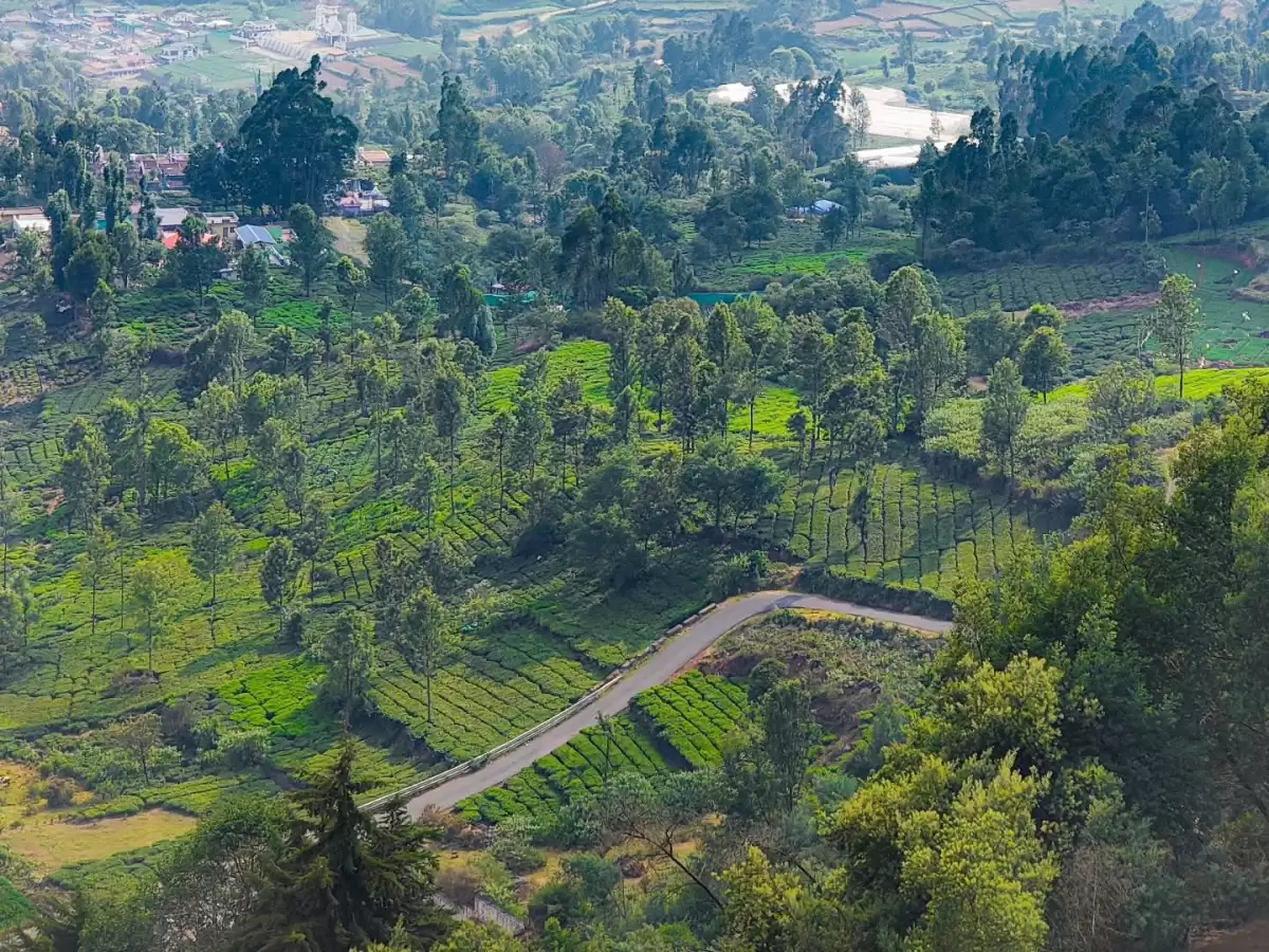 Lush Nilgiri Hills Tamil Nadu India aerial view showcasing terraced tea plantations winding roads scattered village homes small lake surrounded by eucalyptus shola forests rolling green hills, perfect Ooty Coonoor hill station tour package