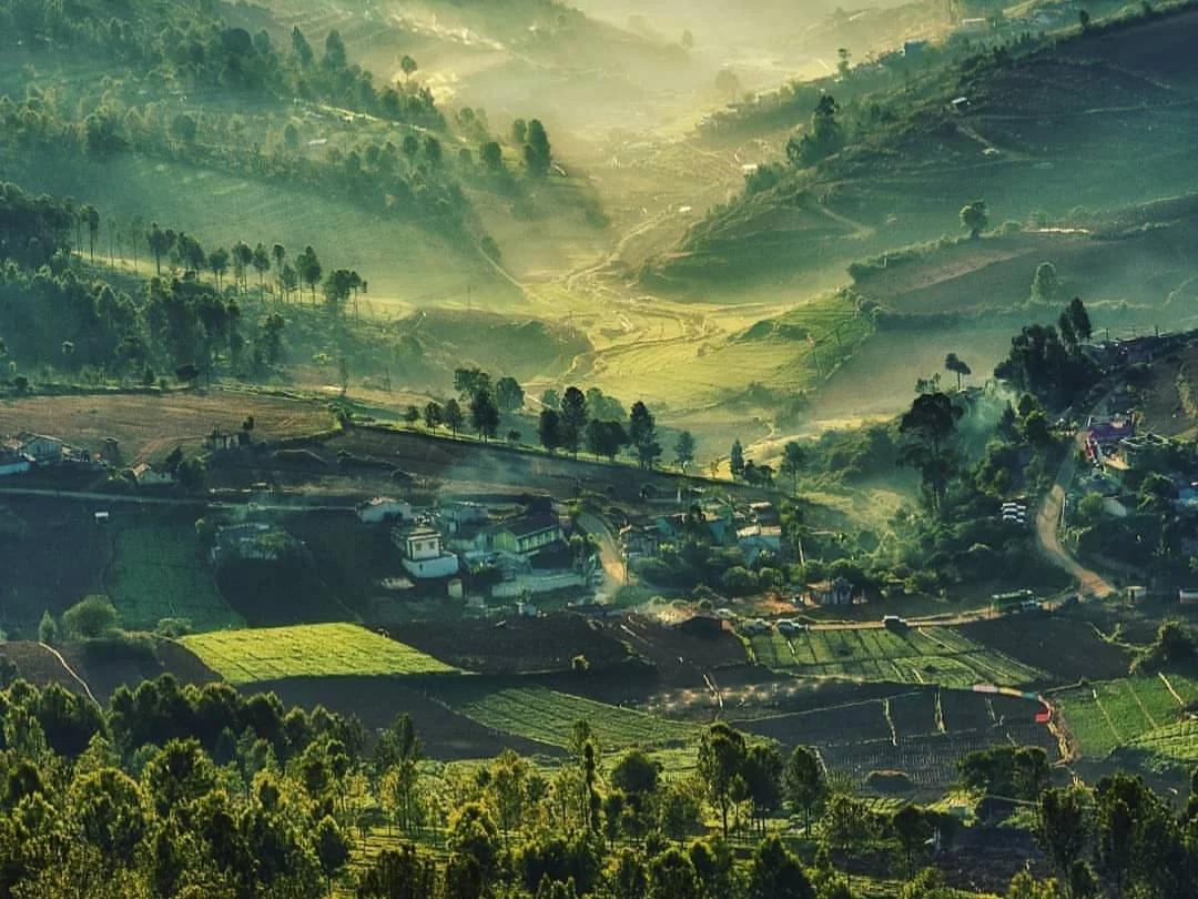 Ethereal Nilgiri Hills Tamil Nadu India dawn panorama with golden sun rays piercing morning mist rolling terraced valleys lush green fields eucalyptus shola forests quaint villages winding roads patchwork agriculture, perfect Ooty Coonoor hill station tou