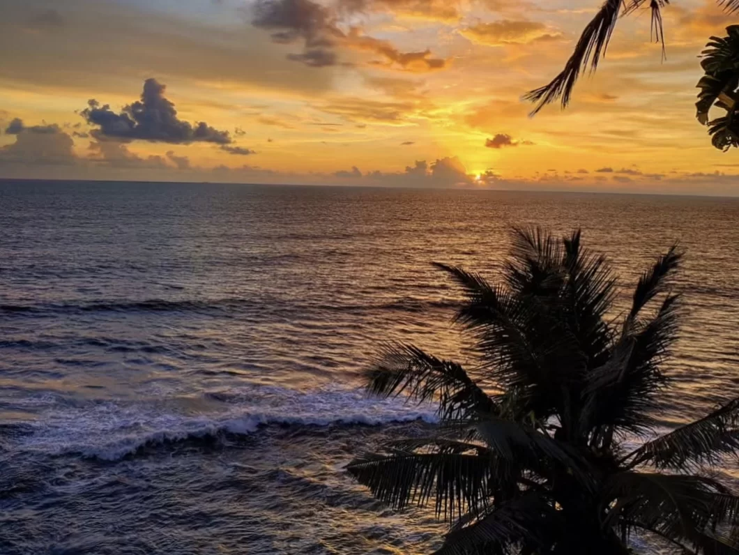 Varkala Beach Kerala palm silhouette golden sunset Arabian Sea, orange clouds dramatic horizon crashing waves, perfect Kerala tropical palm beach dusk package.