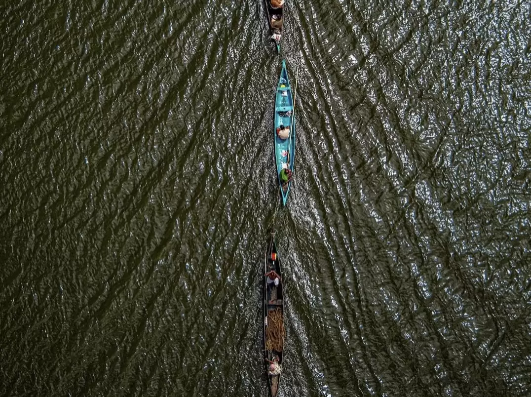 Drone aerial of traditional country boats gliding through Vembanad Lake backwaters Kerala during sunny day, featuring rowers, turquoise green waters, parallel navigation, perfect authentic village life experience with Alleppey canoe backwater tour package