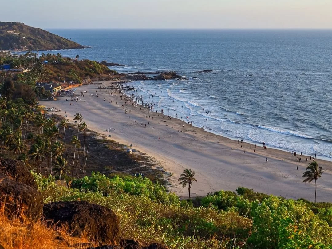 Panoramic Vagator Beach Goa during golden hour with long sandy stretch, gentle waves, distant rocky cliffs and palm-dotted shoreline with beachgoers, perfect vibrant sunset relaxation with North Goa tour package. 