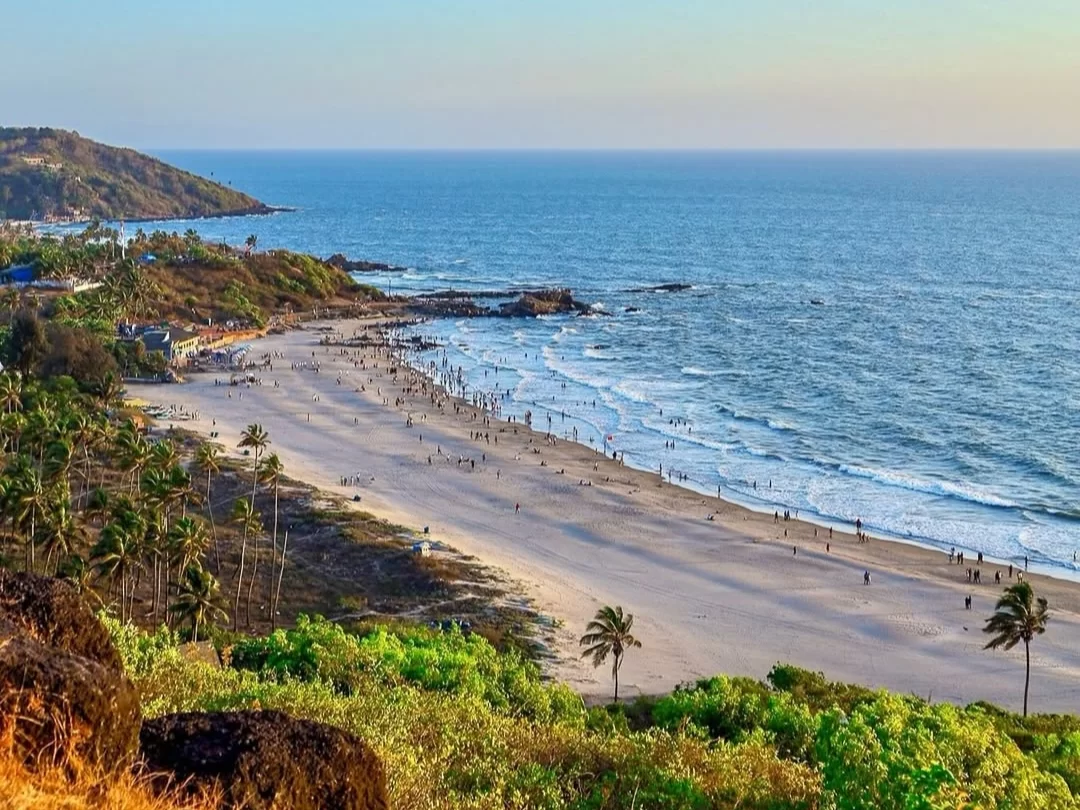 Sweeping Vagator Beach Goa from hilltop with expansive sandy shore, crashing waves, rocky headlands, palm trees and lively beach crowd during soft light, perfect iconic North Goa beach day with tour package. 