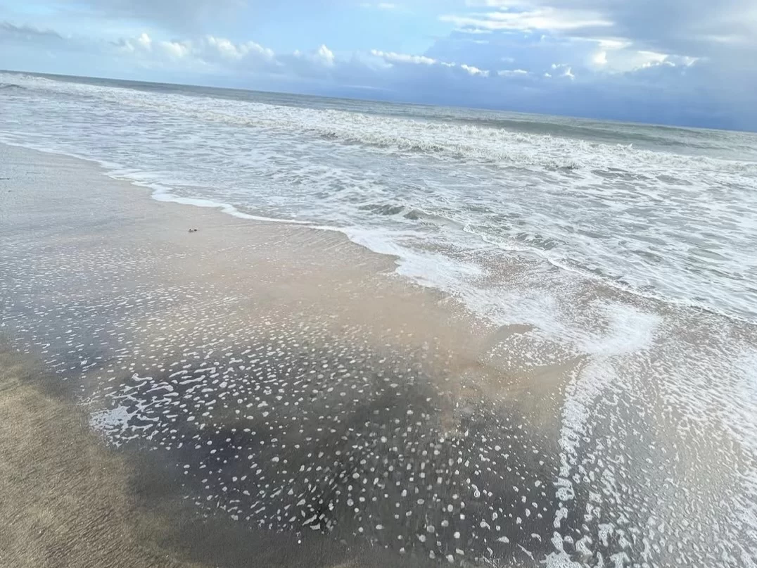 Cherai Beach waves in Kochi Kerala during partly cloudy afternoon, featuring sandy shore, Arabian Sea surf under blue sky, perfect relaxing Cherai Beach tour package.