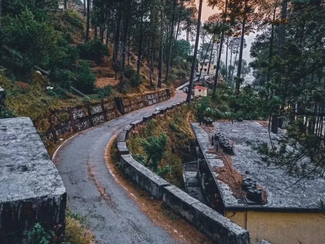 Curving pine forest road to Gangotri Temple during misty evening, featuring village houses and hill slope, perfect spiritual Uttarakhand tour package.