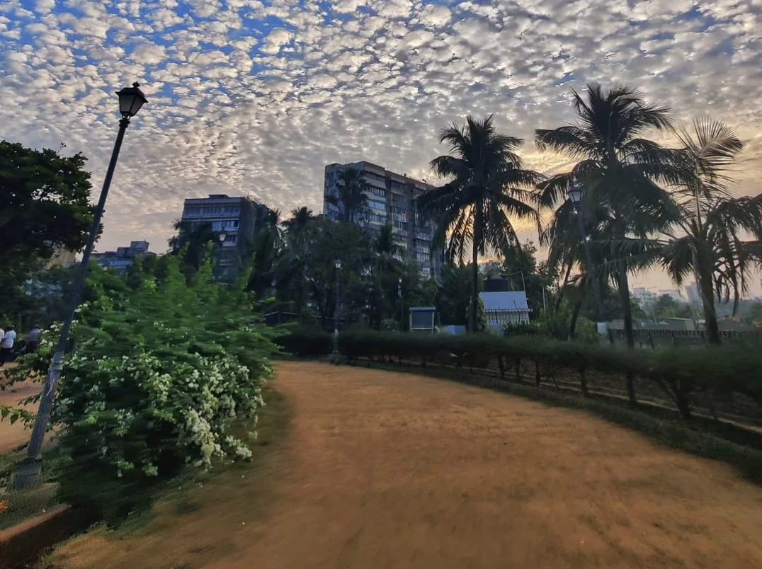 Joggers Park pathway during cloudy dawn, featuring palm trees, high-rise buildings, and tree-lined dirt trail, perfect urban relaxation experience for Mumbai tour package.
