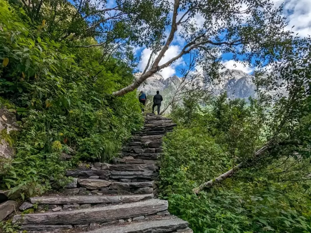 Valley of Flowers National Park stone staircase trail during clear weather, featuring two hikers ascending amid lush green bushes with towering snow-peaked mountains ahead, perfect Uttarakhand tour package.