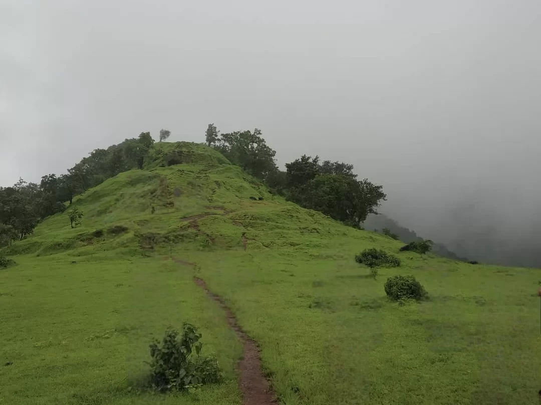One Tree Hill Point Matheran misty green grassy hill trek path lone tree summit foggy valleys clouds, perfect monsoon viewpoint adventure trek, Himachal Pradesh tour packages.