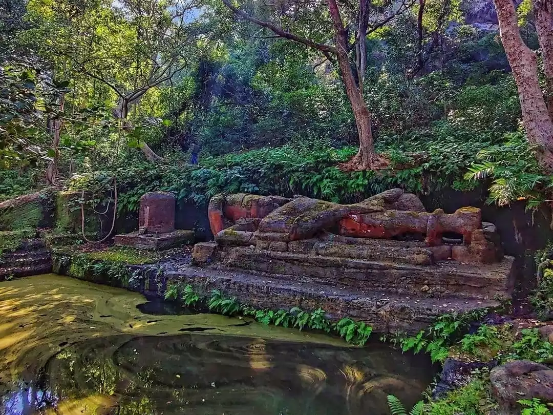 Shesh Shaiya at Bandhavgarh National Park under dappled jungle light, featuring ancient reclining Vishnu statue amid lush forest pond, perfect heritage experience with Madhya Pradesh tour packages.