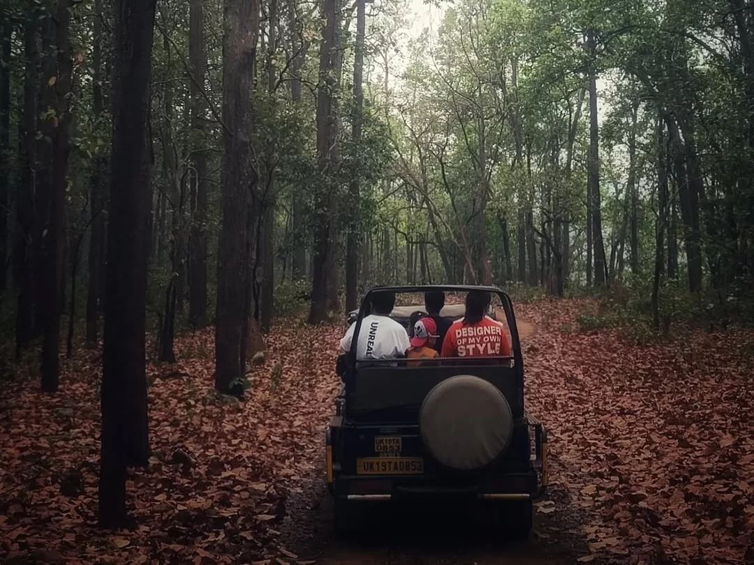 Jim Corbett National Park jeep safari forest trail autumn leaves, tourists red shirts white SUV sal trees sunlight, perfect Uttarakhand tour packages.