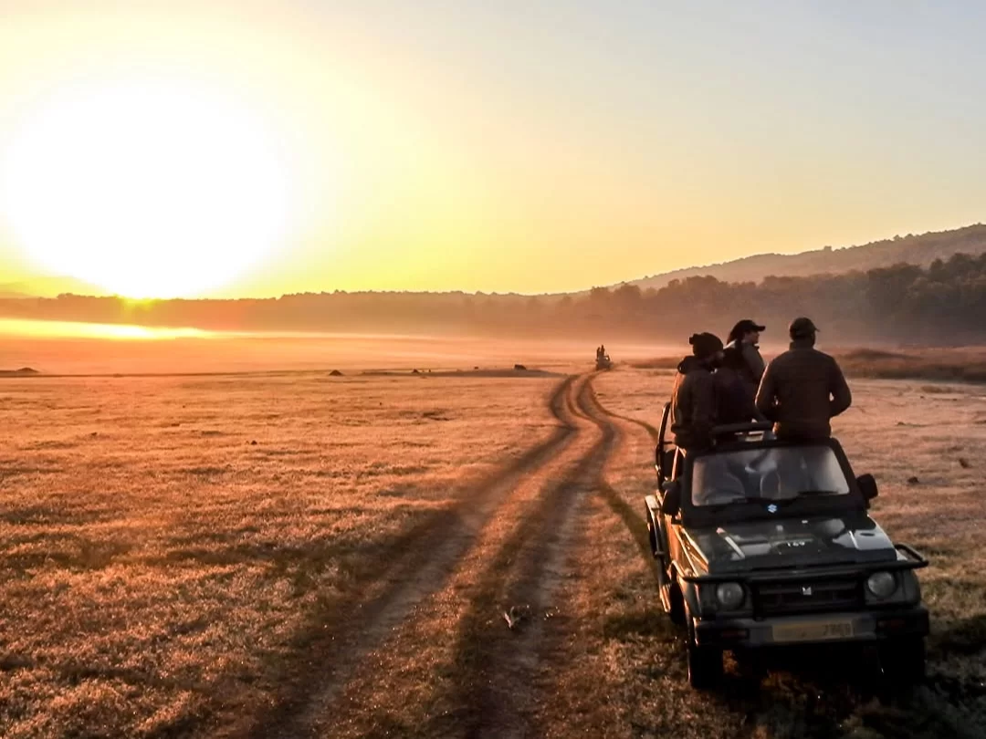 Jim Corbett National Park jeep safari golden sunrise grassland track, green jeep tourists hills foggy marsh distant vehicles orange sky, perfect Uttarakhand tour packages.