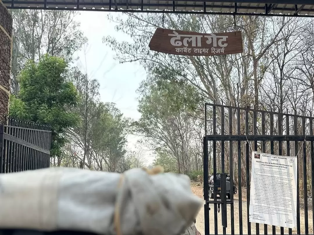 Jim Corbett National Park Dhela Gate entrance sign Hindi English, iron fence gate trees dry foliage jeep notice board foreground, perfect Uttarakhand tour packages entry point.