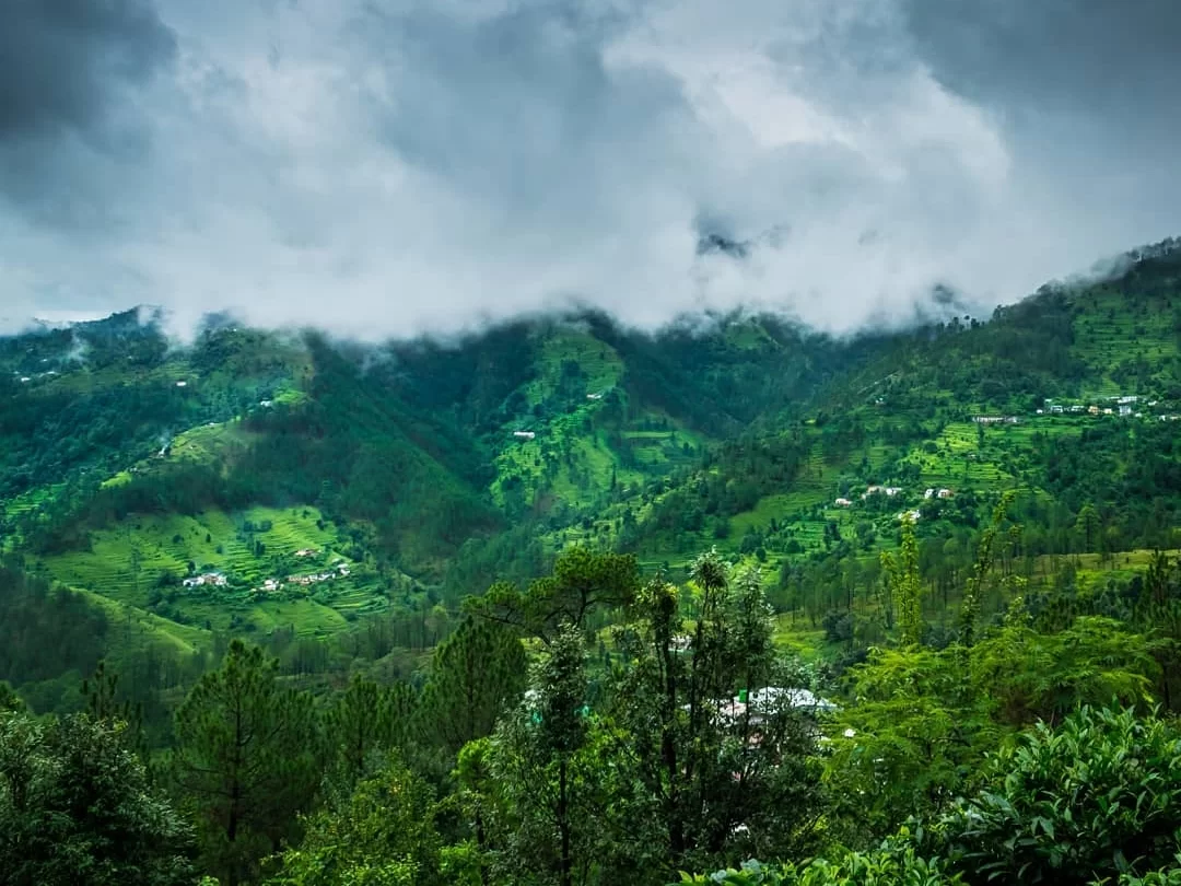Kausani Tea Estate panoramic misty green terraced valleys rolling hills pine forests scattered villages cloudy mountains backdrop, perfect scenic tea plantation view, Uttarakhand hill station tour packages.