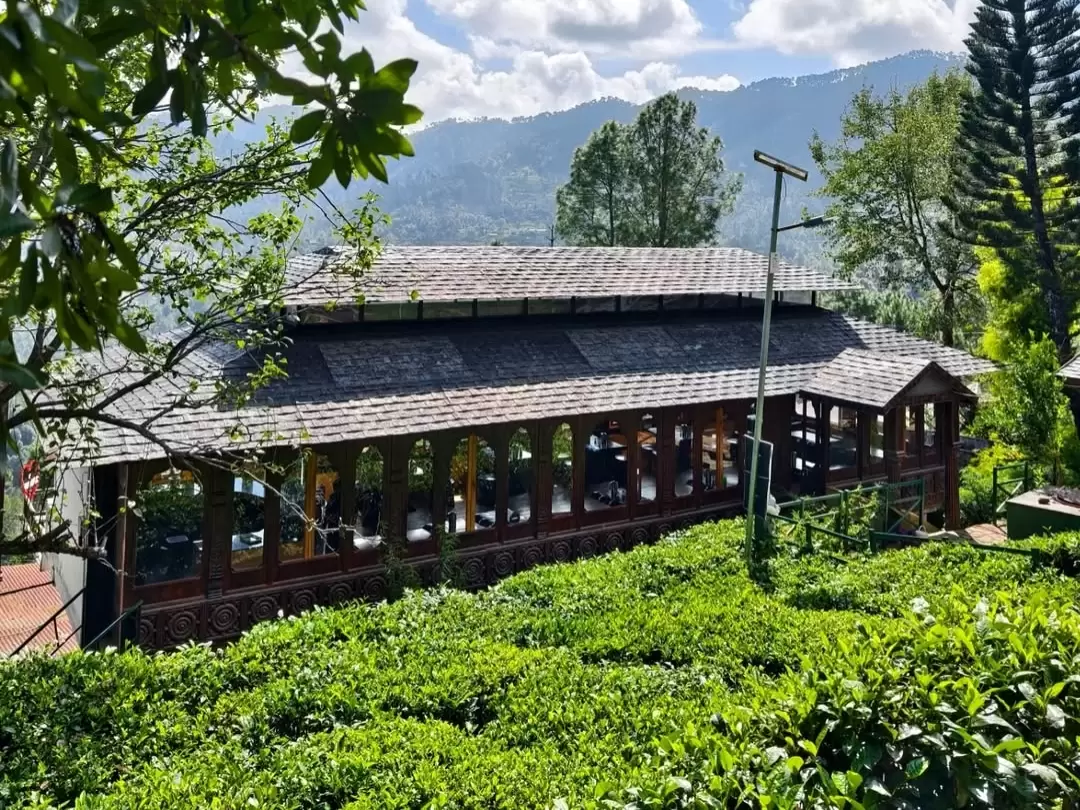 Kausani Tea Estate wooden sloped roof cafe restaurant with large windows overlooking lush green tea gardens pine mountains cloudy sky, perfect tea tasting viewpoint, Uttarakhand hill station tour packages.