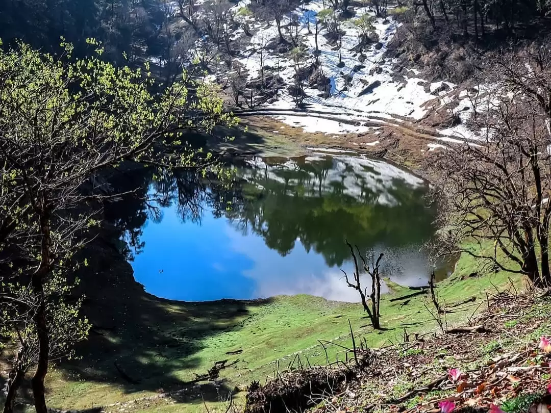 Thamri Kund at Munsiyari during spring sunny day, featuring crystal blue lake reflection pine forests melting snow grass meadows trees hills, perfect nature trekking experience Uttarakhand tour packages.