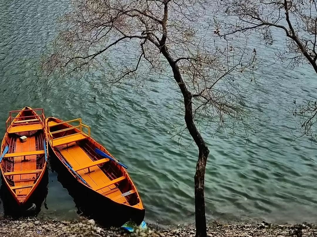 Orange rowboats docked at Bhimtal Lake shore under leafless trees, perfect romantic experience Uttarakhand tour packages. 