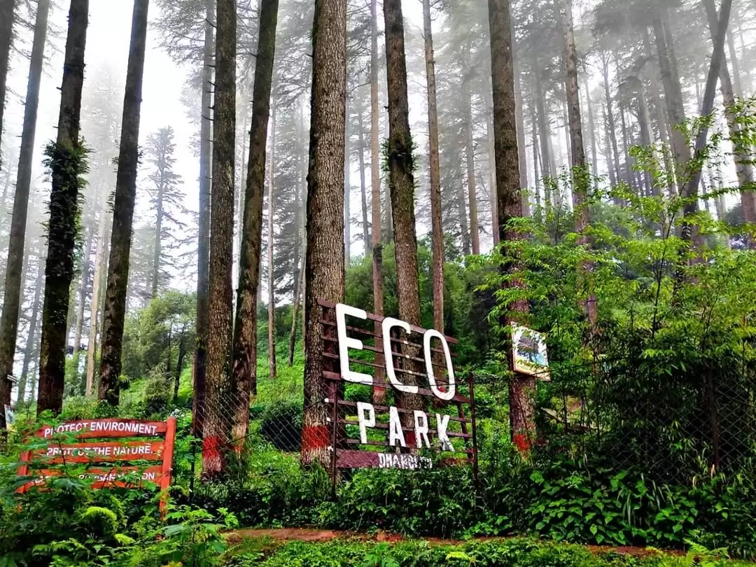 Dhanaulti Eco Park entrance gate amid deodar trees in misty pine forest featured in Mussoorie Dhanaulti Uttarakhand tour packages