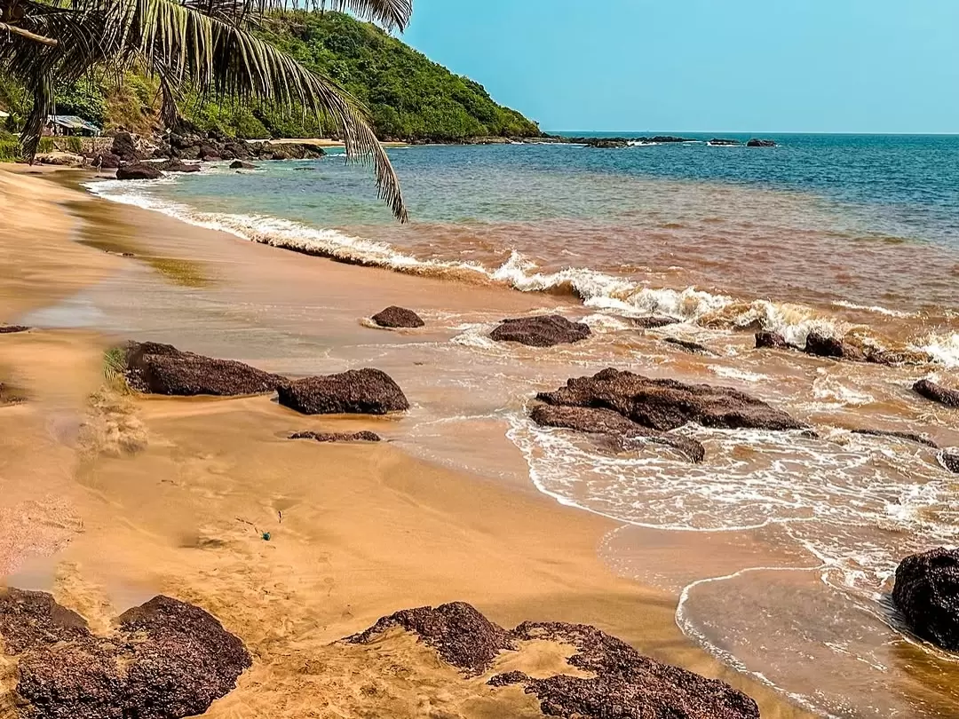 Secluded golden sands Cola Beach South Goa blue sky, featuring swaying palm trees lush forested hill red rocks gentle waves, perfect Goa serene beach tour package. 