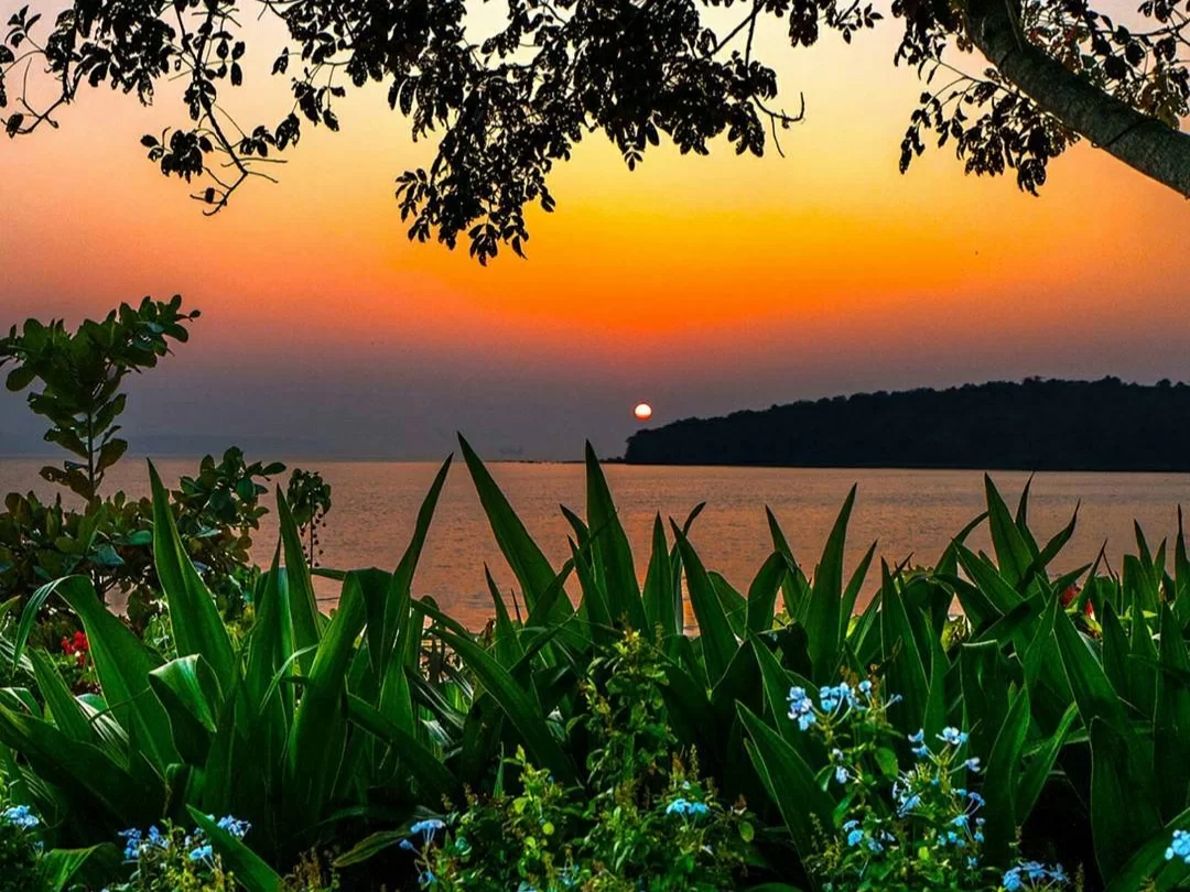 Framed sunset view from plants at Bambolim Beach Goa during golden hour, featuring orange sun sea horizon and green leaves, perfect romantic experience Goa beach tour package.