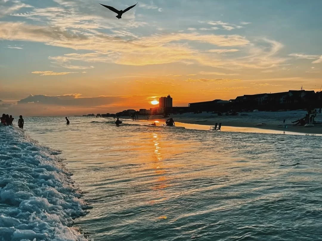 Seagull soaring over beachgoers at golden sunset Miramar Beach Goa, featuring crashing turquoise waves silhouettes high-rises orange sky, perfect beach experience Goa sunset beach outing package.