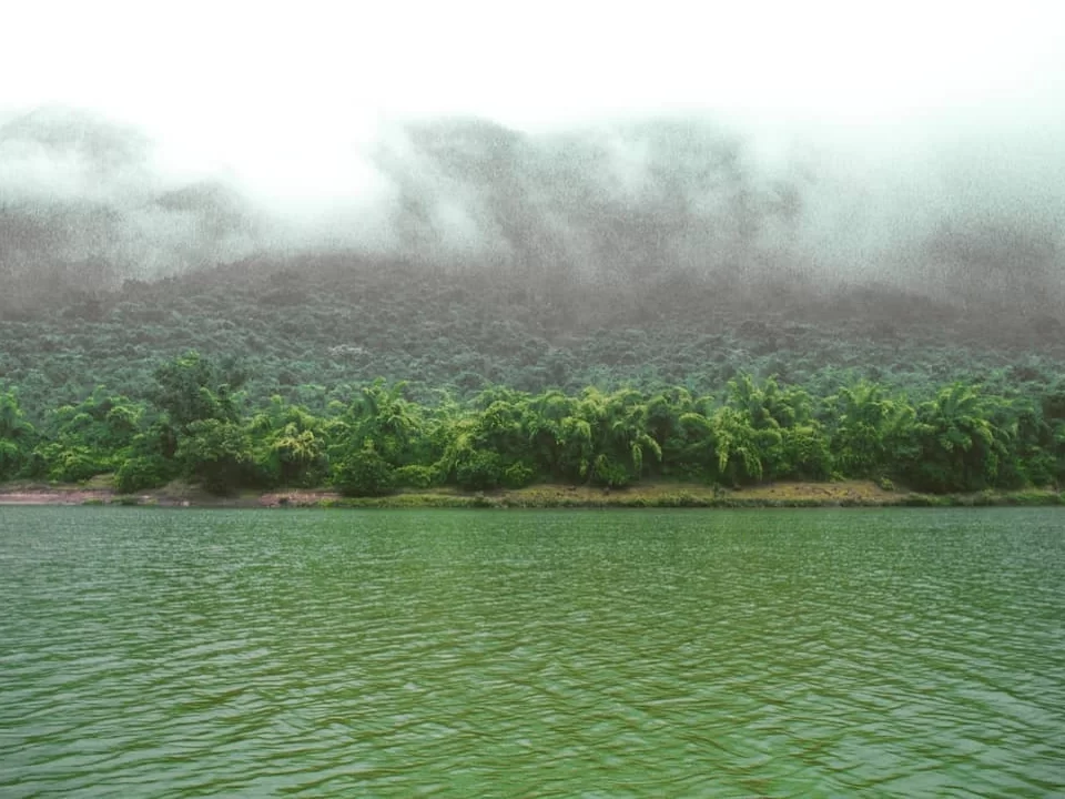 Bhitarkanika King Cobra Jungle misty mangrove shoreline and green river waters creating an Amazon-like landscape, perfect for Odisha boat safaris through India’s second largest mangrove ecosystem.