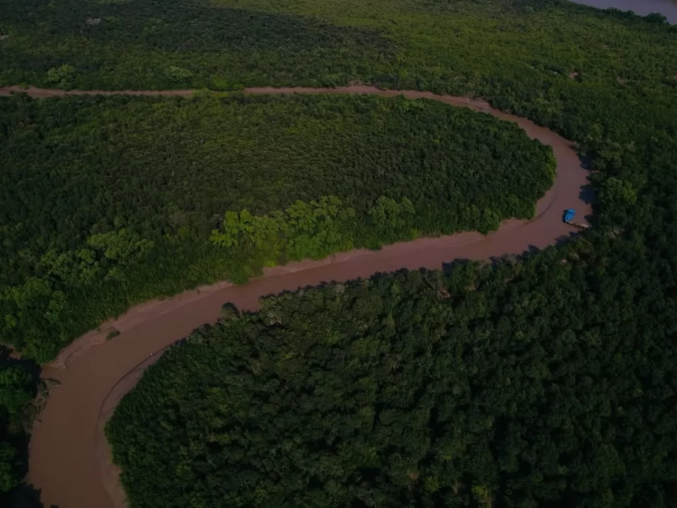Bhitarkanika King Cobra Jungle aerial view of a serpentine creek cutting through dense green mangrove forest, showcasing Odisha’s river jungle and thrilling boat safari routes in the national park.