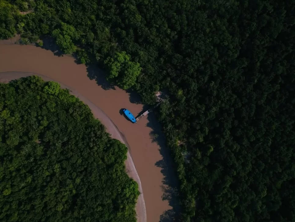 Bhitarkanika King Cobra Jungle drone view of a blue safari boat cruising through a muddy mangrove creek, highlighting Odisha’s immersive river cruise and crocodile-spotting adventure in the national p