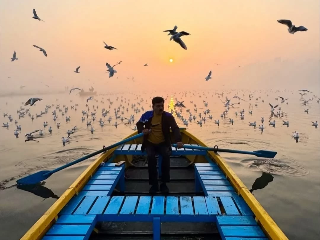 Nalbana Bird Sanctuary Chilika Lake Odisha man rowing yellow blue boat sunset migratory birds flock mist golden sky, perfect Puri birdwatching dolphin safari tour package.