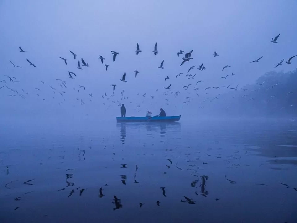 Chilika Lake Odisha migratory birds flock mist fog fishermen boat silhouettes serene waters, perfect Puri birdwatching dolphin safari tour package.