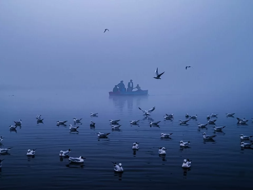Chilika Lake Odisha seagulls gulls dense fog mist group fishermen boat silhouettes serene waters, perfect Puri winter birdwatching dolphin safari tour package. 