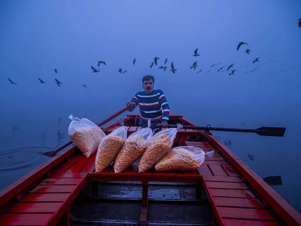Chilika Lake Odisha fisherman red boat feeding fish bait gulls seagulls dawn mist birds flock, perfect Puri winter birdwatching dolphin safari tour package.