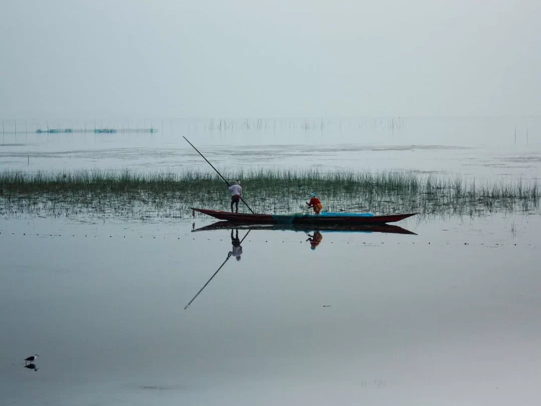 Chilika Lake Odisha fishermen spear fishing red blue traditional boat reed grass misty calm waters perfect reflection serene lagoon, ideal Puri birdwatching dolphin safari tour package.