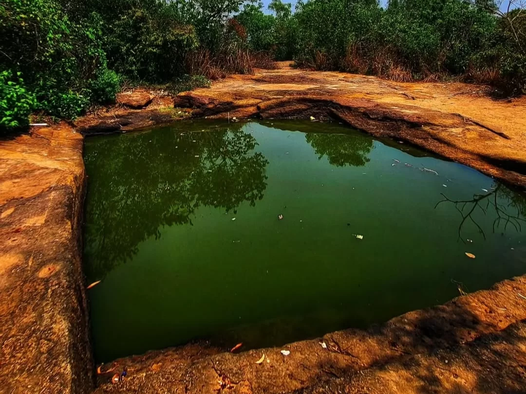 Udayagiri Caves Odisha ancient rock-cut stepwell pond green water foliage rocky edges, perfect Bhubaneswar Jain heritage tour package.
